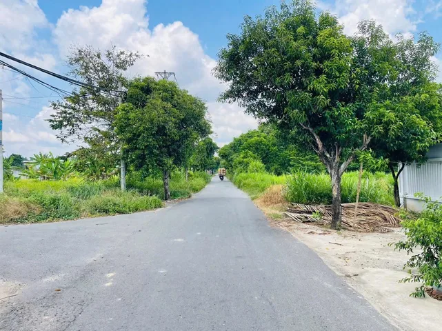 BÁN ĐẤT TÂN THÔNG HỘI – KHU DÂN CƯ ĐƯỜNG NHỰA 218