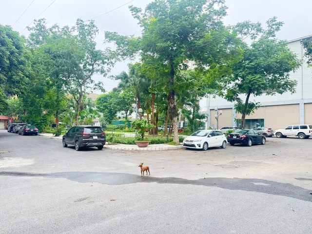 Biệt Thự Vườn Đào. Dành cho giới thượng lưu. Khu vực toàn lãnh đạo cao cấp. Thiết kế sang trọng, đẳng cấp. Thể hiện vị thế của chủ nhân