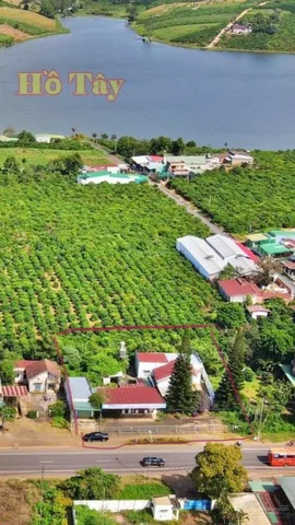 Bán gấp đất mặt tiền Hùng Vương, Di Linh, 1604m2