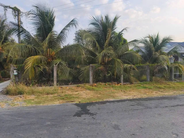 Bán 5 công đất vườn mặt tiền đường nhựa HL23B 5m. Ấp bình Quới Hạ bình Ninh, Chợ Gạo, Đồng Tháp Mới.