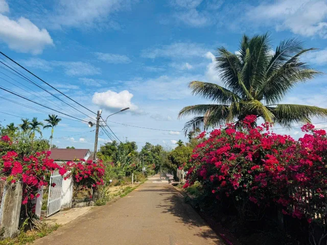 ĐẤT KOMLEO – HÀNG ĐẸP Giá 3.390 tr