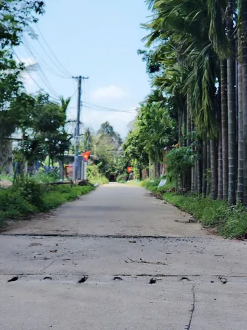 Bán đất 150m² full thổ cư ngang 5m giá 460 triệu tại Xã Trà Giang