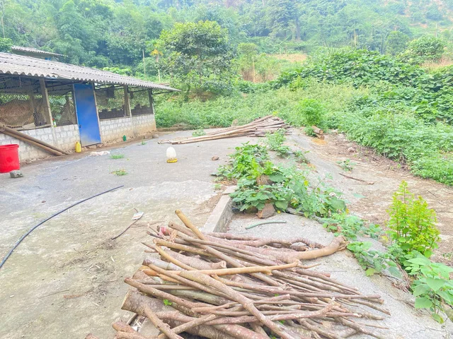 4291m - Sẵn vườn, ao , chuồng & nhà c4 nhỏ - sử dụng 5300m