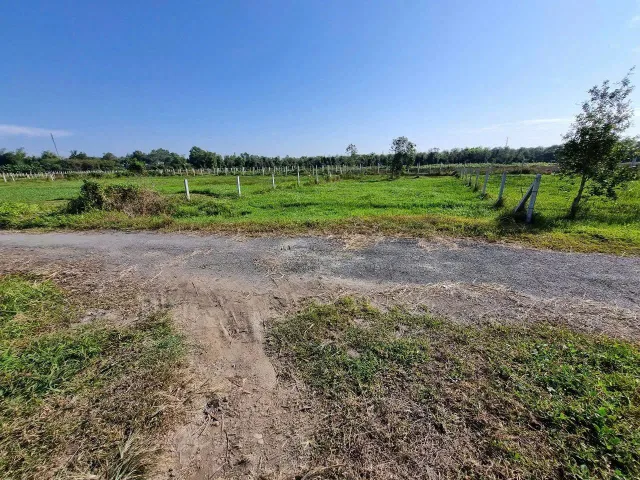 Đất Củ Chi Giá Rẻ – Xã Thái Mỹ, 500m² ngang 12m giá 1,12 tỷ