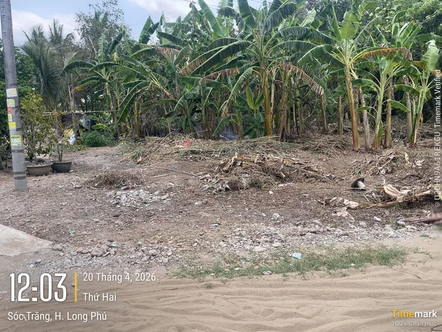 Bán đất 1264.7m² có sẵn 100m² thổ cư ngang 21m giá 2.5 tỷ tại Xã Tân Thạnh