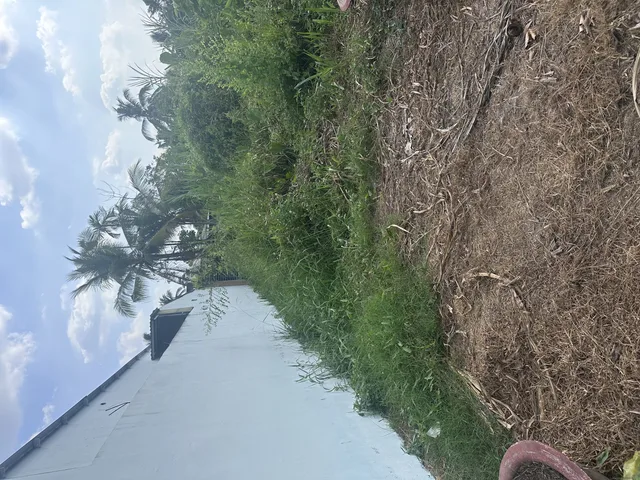 Bán đất 160.4m² full thổ cư ngang 5m giá 960 triệu tại Phường Thanh Đức