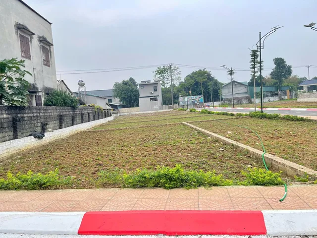 GIÁ ĐẦU TƯ HÀNG F0 - TRẠI HỒ - CỔ ĐÔNG-LÃI NGAY TẠI THỜI ĐIỂM CỌC