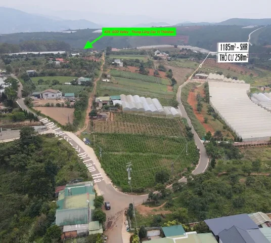 Bán 1185m² SHR Tà Nung Đà Lạt