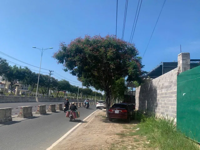 Mặt Đường Chính Đi Sân Bay Quốc Tế Cam Ranh - Đất 1000m2 - Ngang 22m - Vị trí trung tâm Phước Đồng