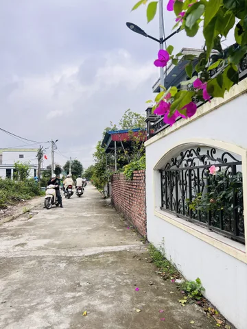 Lô đất đẹp 99m tại Lâm Động - Thuỷ Nguyên✅sát đường 203 và KCN Nam Cầu Kiền