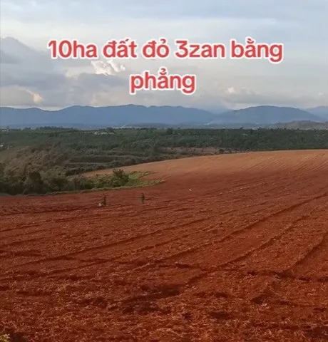 10ha cách đường nhựa liên xã 300m