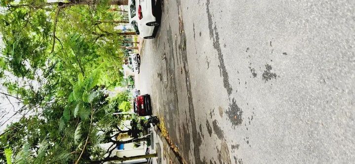 ❌❌❌ SIÊU PHẨM VIEW VƯỜN HOA – KHU PHÂN LÔ CAO CẤP HỒNG BÀNG ❌❌❌