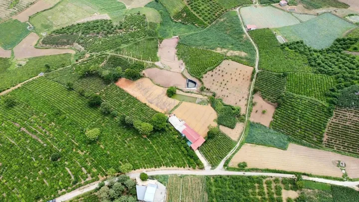 ĐẤT ĐẸP MỘC CHÂU - 5000m² (400 THỔ CƯ) - VIEW CHÈ ĐẸP - SẴN AO - GẦN HỒ ĐIỀU HÒA - 1,X TRIỆU/M2