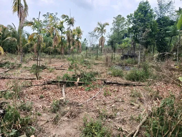 Bán đất 8000m² ngang 50m giá 2.2 tỷ tại Xã Ea Nuôl
