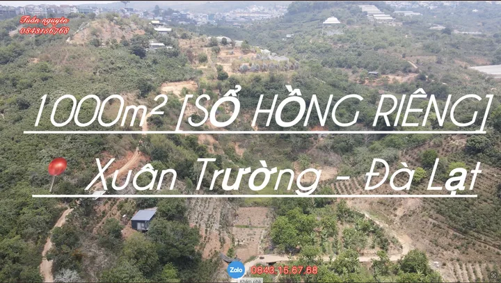 Sổ Hồng 1000m2 đường bê tông, giáp suối đá ngay Xuân Trường - Đà Lạt