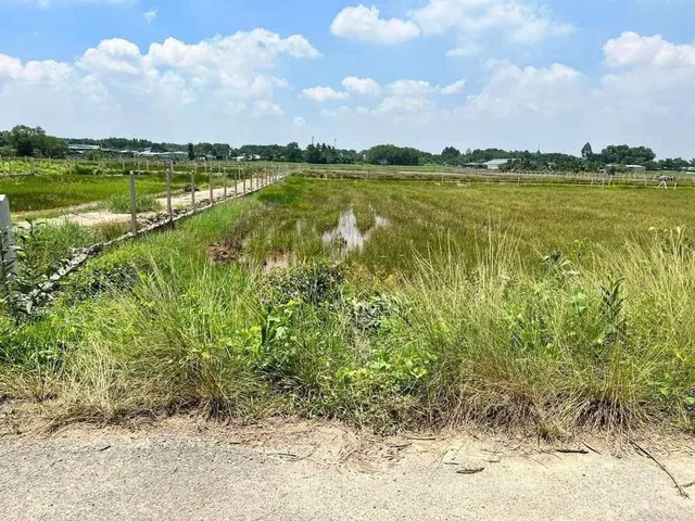 Bán đất mặt tiền nhựa gần ngã tư Tân Quy xã Tân Thạnh Tây Củ Chi TPHCM, DT: 10x65m.
