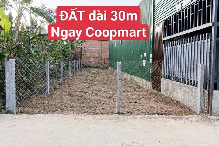 Bán Đất Ngay Coopmart, Hướng Đông Nam, Giá Rẻ
