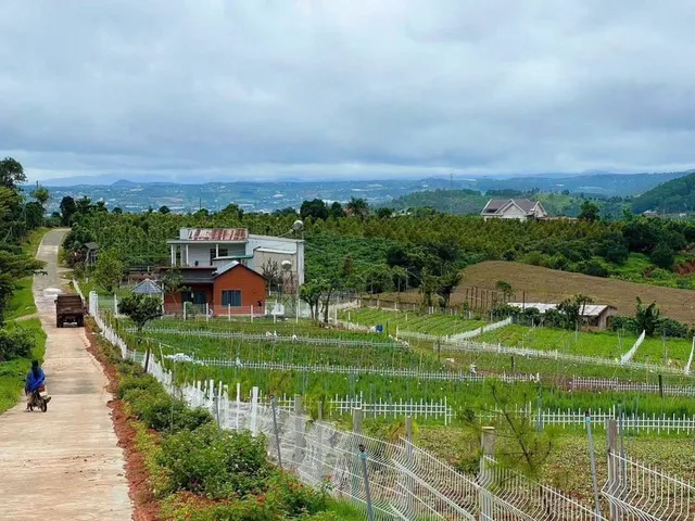 Đất xã Đông Thanh View Đẹp. Săn Mây Mỗi Ngày. Giá 540 triệu. Trọn Sổ