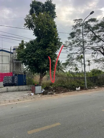 04/2026.Bán đất 130m² full thổ cư ngang 5m đường rộng 8m. giá 3.83 tỷ tại Phường Nam Triệu(Mắt Rồng Lập Lễ). liên hệ 0362558882