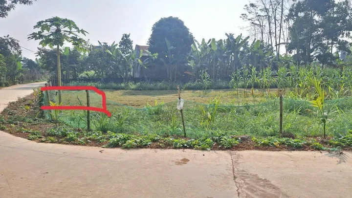 1 lô Thọ Bình Đẹp Và Siêu Rẻ ạ 112m sẵn sổ, đường thông