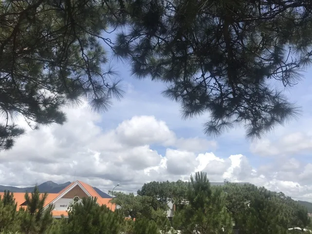 Bán Đất 931m2 có sẵn 931m2 thổ cư giá 55,8 tỷ tại Phường 8 Thành phố Đà Lạt Lâm Đồng