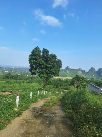 1222m 150tc - đất nghỉ dưỡng view cao thoáng - giá nhỉnh 4