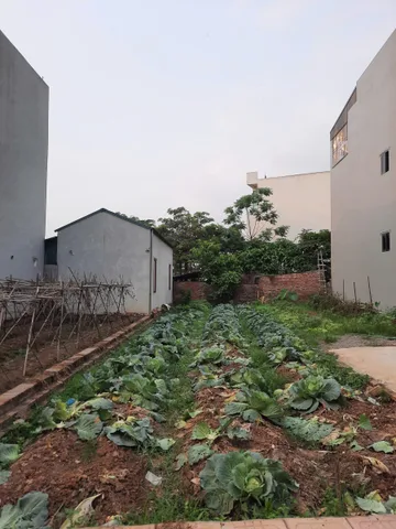 🔥 118m² Quang Minh – Gần KCN Quang Minh – Đường oto - Mặt tiền rộng - nhỉnh 5T