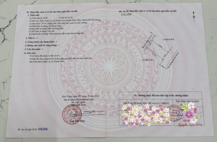 5KT174B11 🔥 HÀNG ĐẤU GIÁ ĐẸP THANH SƠN – GĐ1 | B11 – B12 🔥