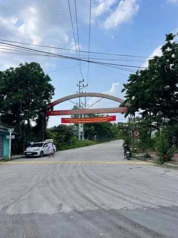 GIÃN DÂN THẠCH LỖI