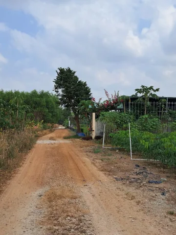 Bán đất 129m² có sẵn 50m² thổ cư ngang 5m giá 500 triệu tại Xã Trừ Văn Thố -Bàu Bàng