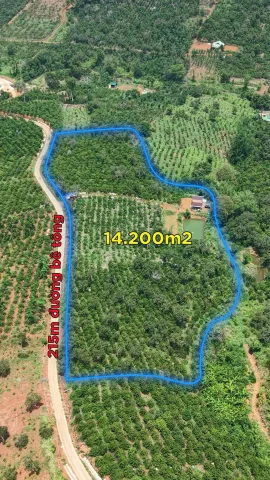 Bán đất 14200m² ngang 115m giá 3.8 tỷ tại Xã Tuy Đức