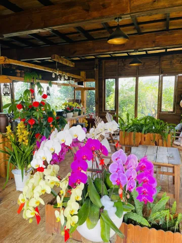 Cho thuê Homestay & coffee Da Sar, Lạc Dương 20 triệu/tháng