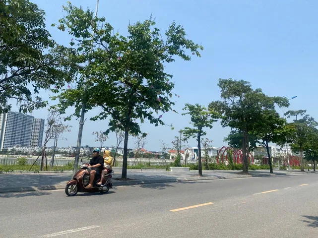 CHỦ CẦN TIỀN TRẢ NGÂN HÀNG BÁN LÔ ĐẤT 113M2 TRONG KHU TĐC NGUYỄN MẬU TÀI GIA LÂM RẺ HƠN TT 2 TỶ