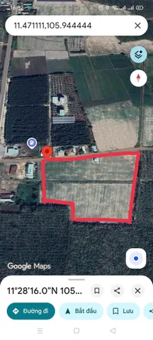 Bán đất 23420m² ngang 1200m tại Xã Phước Vinh
