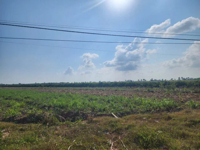 Bán đất 4000m² ngang 40m giá 90 triệu tại Xã Cù Lao Dung