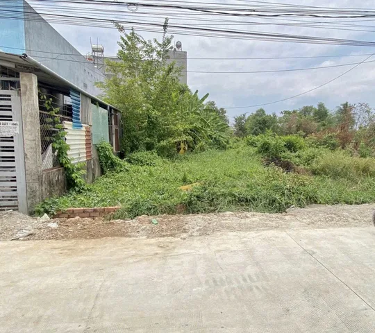 Đất full thổ 233m2 (8x29) MT ấp 3 Tân Bửu, Bến Lức, Long An, 1/ Nguyễn Hữu Trí 300m