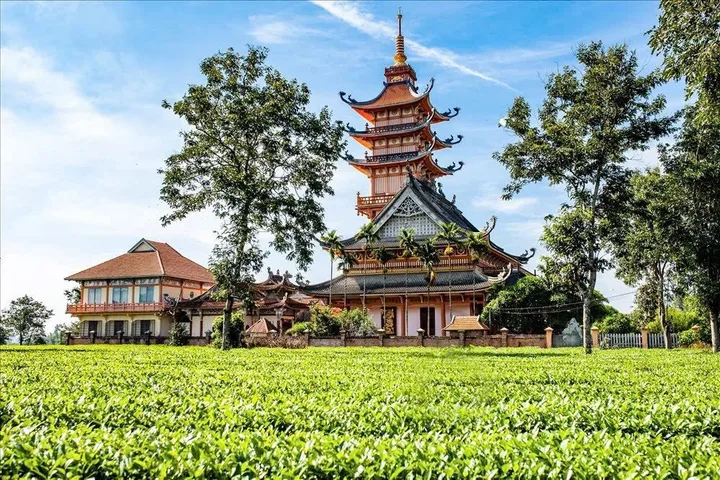 Đất view hồ Biển Hồ tổng 3sào
