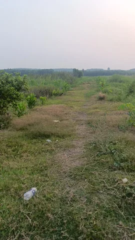 2ha7 Đất Tân Tiến, tp Đồng Nai. Gần nguồn nước. Giá mềm bao tranh chấp, chưa sổ. Giá 1ty5 toàn bộ. 0987117454
