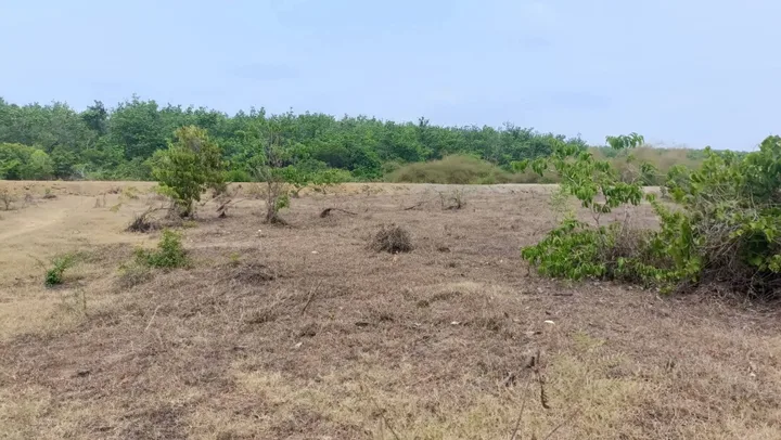 Bán đất 5000m² ngang 100m giá 150 triệu tại Xã Tân Tiến, Đồng Nai