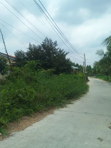 HIẾM CÓ KHÓ TÌM – 1000m² FULL THỔ CƯ - VUÔNG VỨC - GIÁ CHỈ 5.450 TỶ NGAY SÁT BÌNH CHÁNH