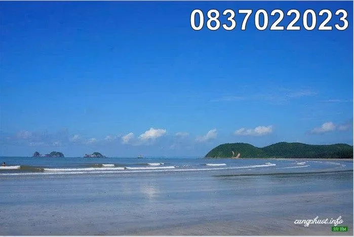 ☢️Chính chủ bán 50.000m đất đẹp Đ.Trường Chinh, đặc khu Vân Đồn, Quảng Ninh, 0837022023
