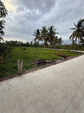 Bán đất , tổng diện tích : 862,7m , ấp Vĩnh Hiệp xã Vĩnh Thành huyện chợ lách tỉnh Bến Tre, Hai mặt tiền đường nhựa 3m
