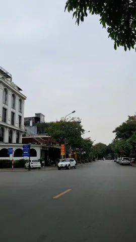 BÁN BIỆT THỰ VIỆT HƯNG 115M2- 4 TẦNG THÔ- AN SINH ĐỈNH CAO- 32 TỶ