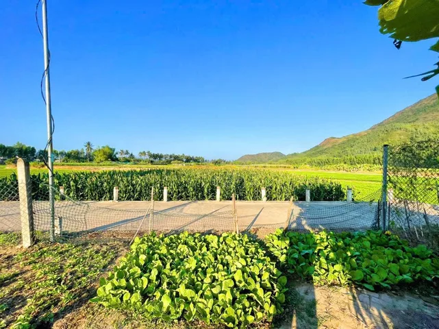 ĐẤT FULL THỔ CƯ VÕ KIỆN - DIÊN AN - DIÊN KHÁNH
- DT: 128m2 ngang 6,4m vuông vắn 
- Đường bê tông rộng 6m. Khu dân cư hiện hữu, cách đường Liên Xã chỉ 100m di chuyển ra đường Võ Nguyên Giáp chỉ 900m.