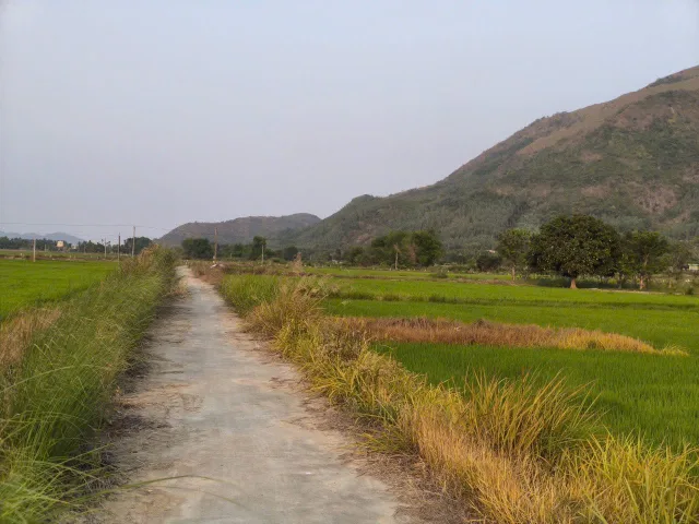 Bán Đất cây Diên Toàn 
Diện tích 430m . Lô góc 2 mặt tiền 
Đường ô tô tận nơi 
View cánh đồng lúa bao chill 
Phù hợp làm nhà vườn , cf view ruộng 
————————-
https://maps.app.goo.gl/TbEhJu5mh2p5qZyV9?g_st=iz
💵 chỉ 2 tr/ m thương lượng