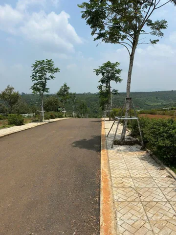 BÁN ĐẤT DI LINH, LÂM ĐỒNG 249 triệu