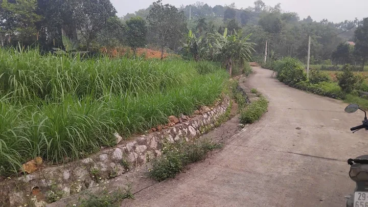 Mảnh đất đẹp giá tốt thuộc thôn Phú Lội - xã Minh Quang - Ba Vì - Hà Nội