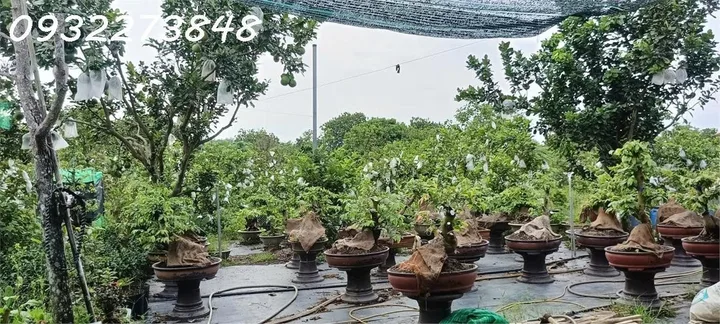 Chính chủ cần bán đất tại ấp Sa Cá, xã Bình An, Long Thành, Đồng Nai