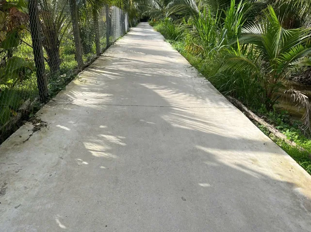 Cần tiền rẻ lô đất thổ cư đường Bê tông ô tô 3m Ba Pho, Khu Phố Phước Hòa, Phường Trung An, Tỉnh Đồng Tháp, (Phước Thạnh – TP Mỹ Tho – Tiền Giang cũ).