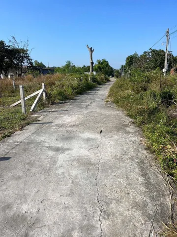 Bds biển ( khu vực biển cam bình).